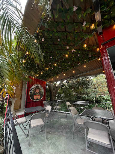 Red Dragon Noodle House Boquete