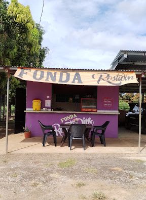 Las Mejores Restaurantes de Sushi Cerca de Mi en Panamá