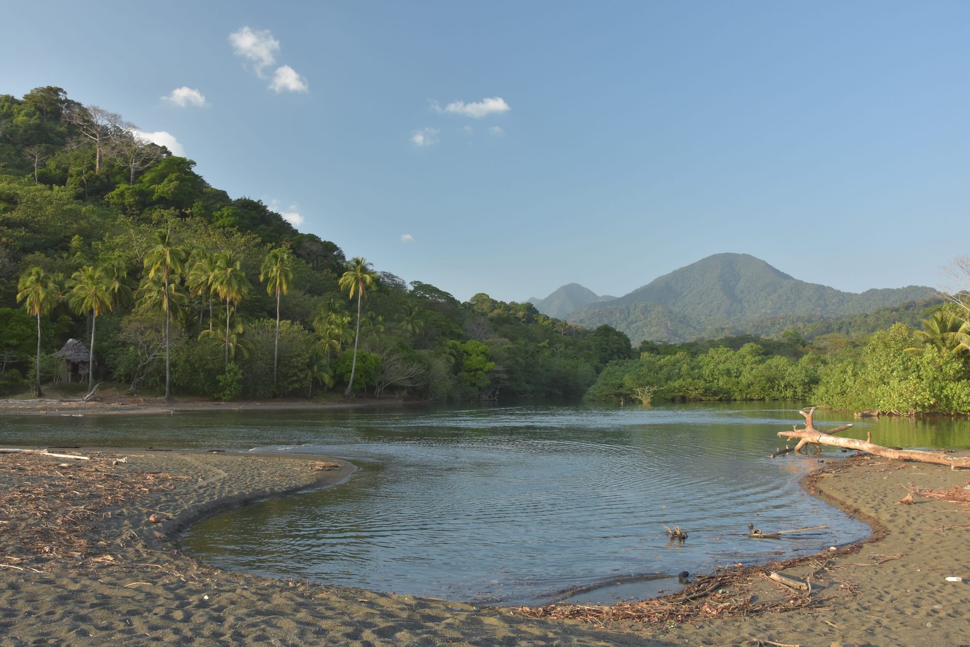 Darién 1 Darién: selva, peligros y la ruta migratoria más dura de América
